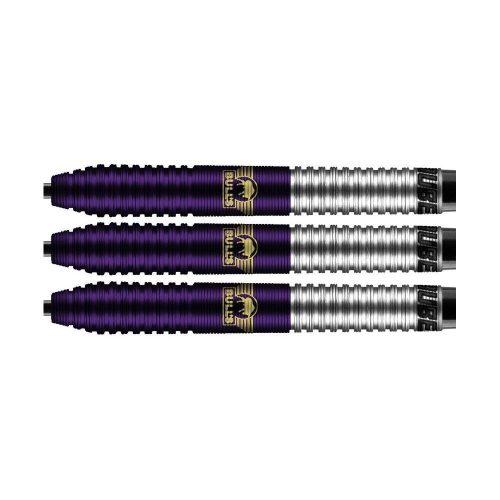 Šipky Bull's steel Dirk van Duijvenbode Aubergenius 25g, 90% wolfram